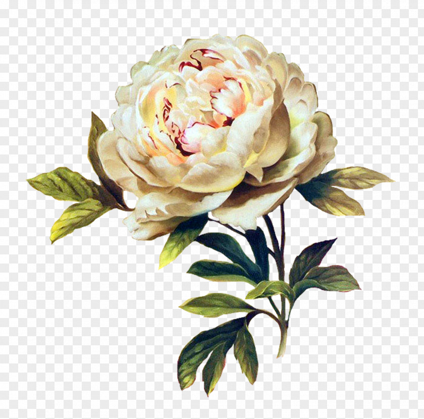 FLOWER PATTERN Flower Floral Design Rose Painting Mosaic PNG