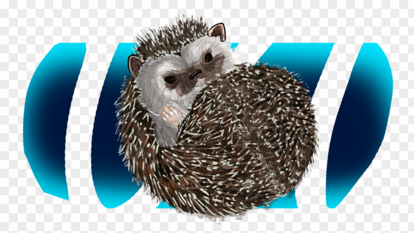 Hedgehog Domesticated Porcupine Fauna Domestication PNG