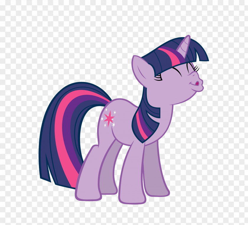 Horse My Little Pony: Equestria Girls Sweetie Belle Rarity Fluttershy PNG