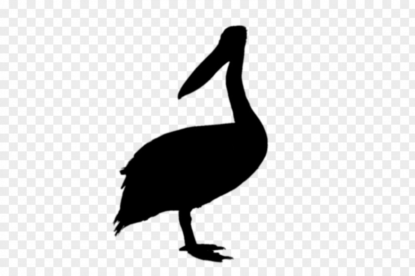 M Clip Art Fauna Goose Duck Black & White PNG