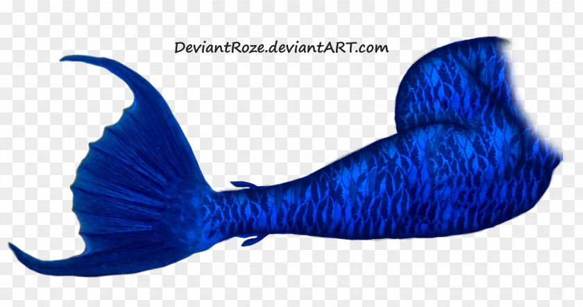 Mermaid Tail Siren PNG