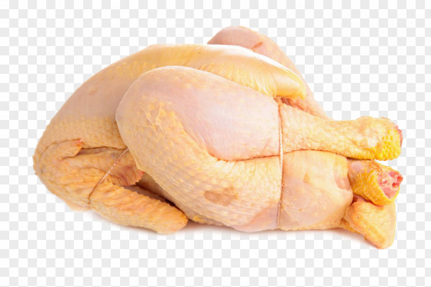 Roast Chicken Leg Meat PNG chicken meat, clipart PNG