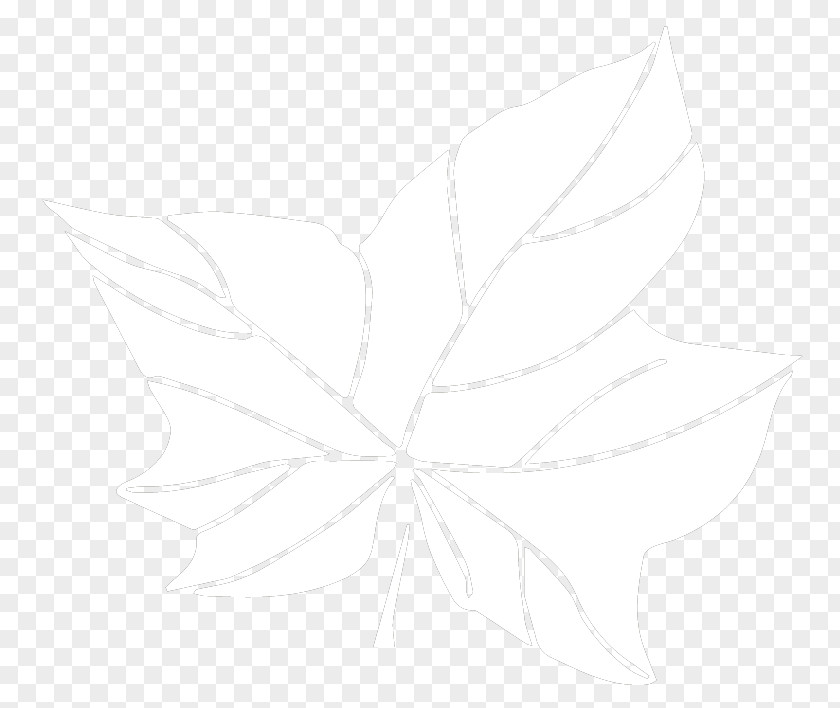 Tree Overlooking Petal Drawing White /m/02csf Leaf PNG