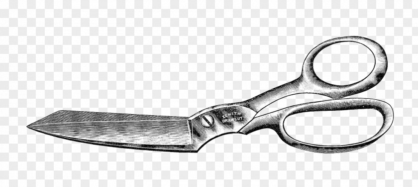 Advertisement Cliparts Hair-cutting Shears Scissors Cutting Hair Royalty-free Clip Art PNG