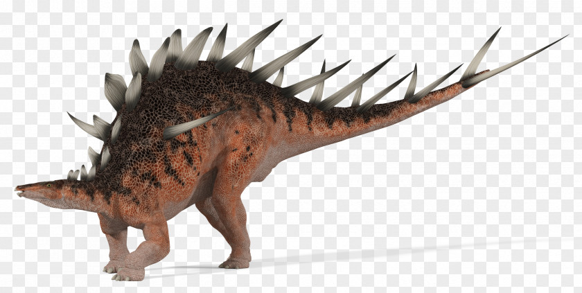 Dinosaur Creative Kentrosaurus Zoo Tycoon: Digs Gigantspinosaurus Stegosaurus Dacentrurus PNG