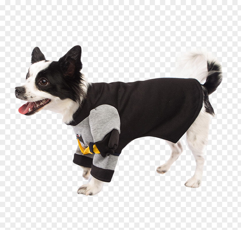Dog Breed Costume Batman Ace The Bat-Hound PNG