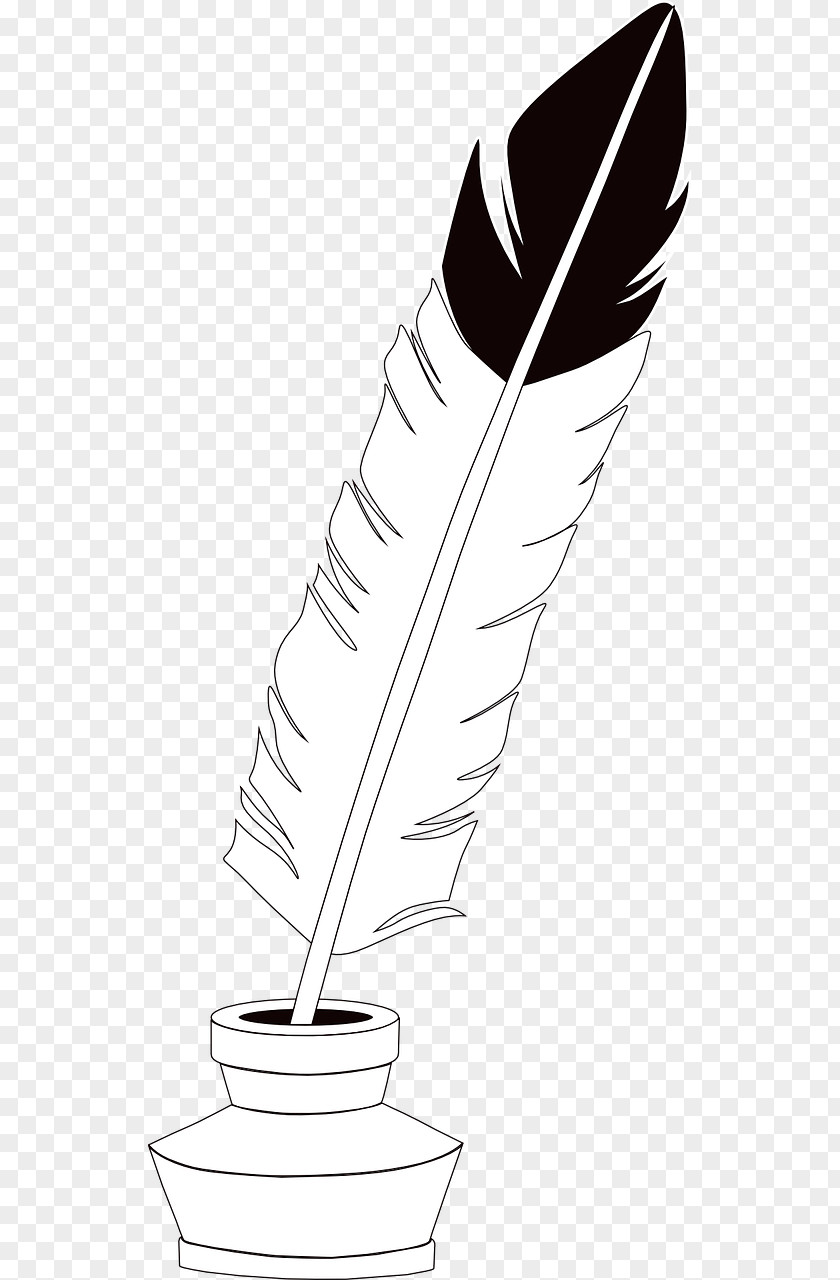 Feather Ink Quill Clip Art PNG