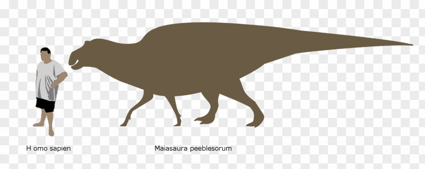 Maiasaura Hadrosaurus Edmontosaurus Regalis Zoo Tycoon 2 PNG