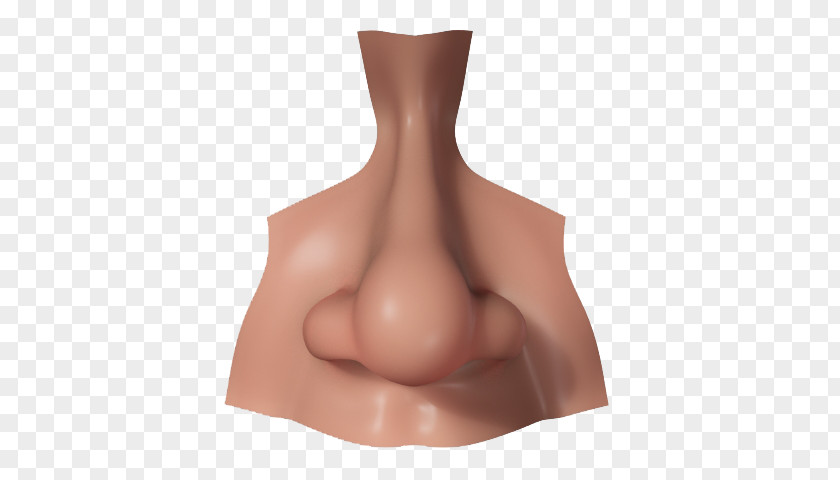 Nose Picture Human 3D Computer Graphics CGTrader Modeling PNG