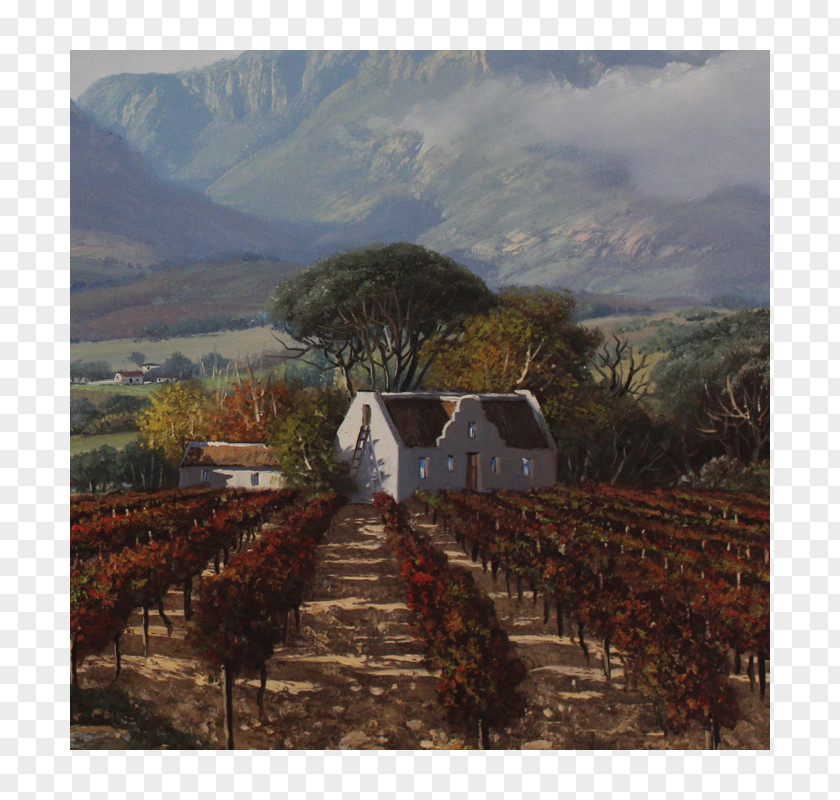 Painting Common Grape Vine Hill Station Plantation Mountain PNG