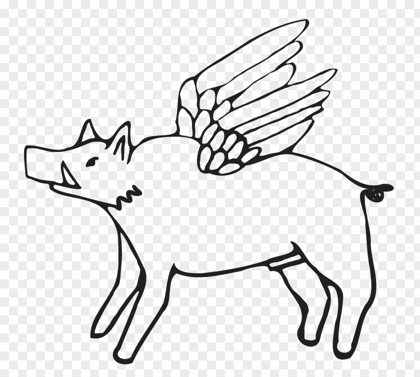 Pig Line Art Drawing Clip PNG