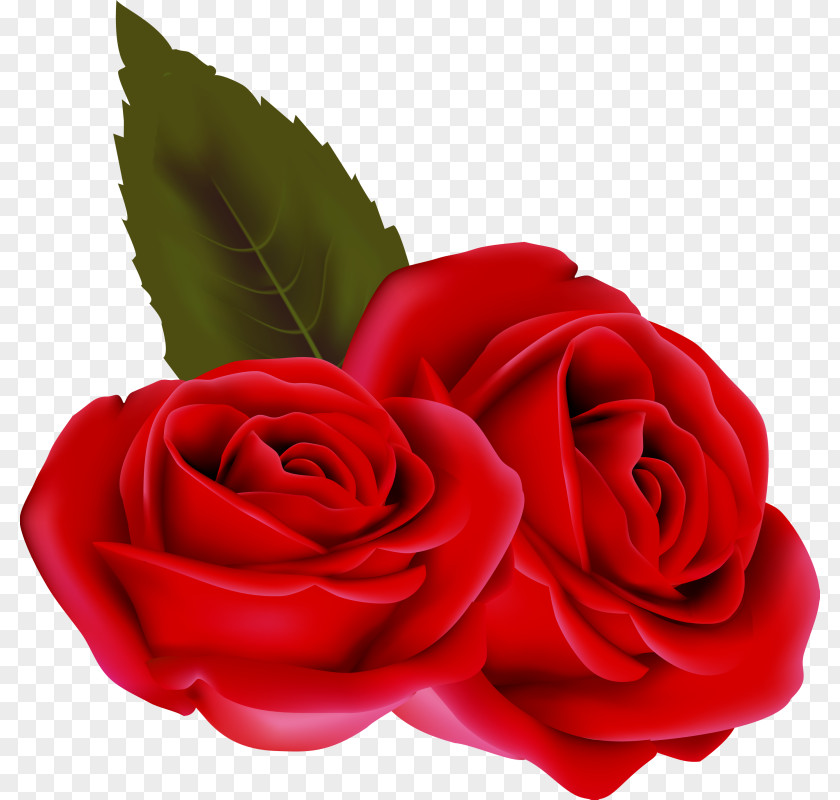 Saint Valentines Day Valentine's Flower Clip Art PNG