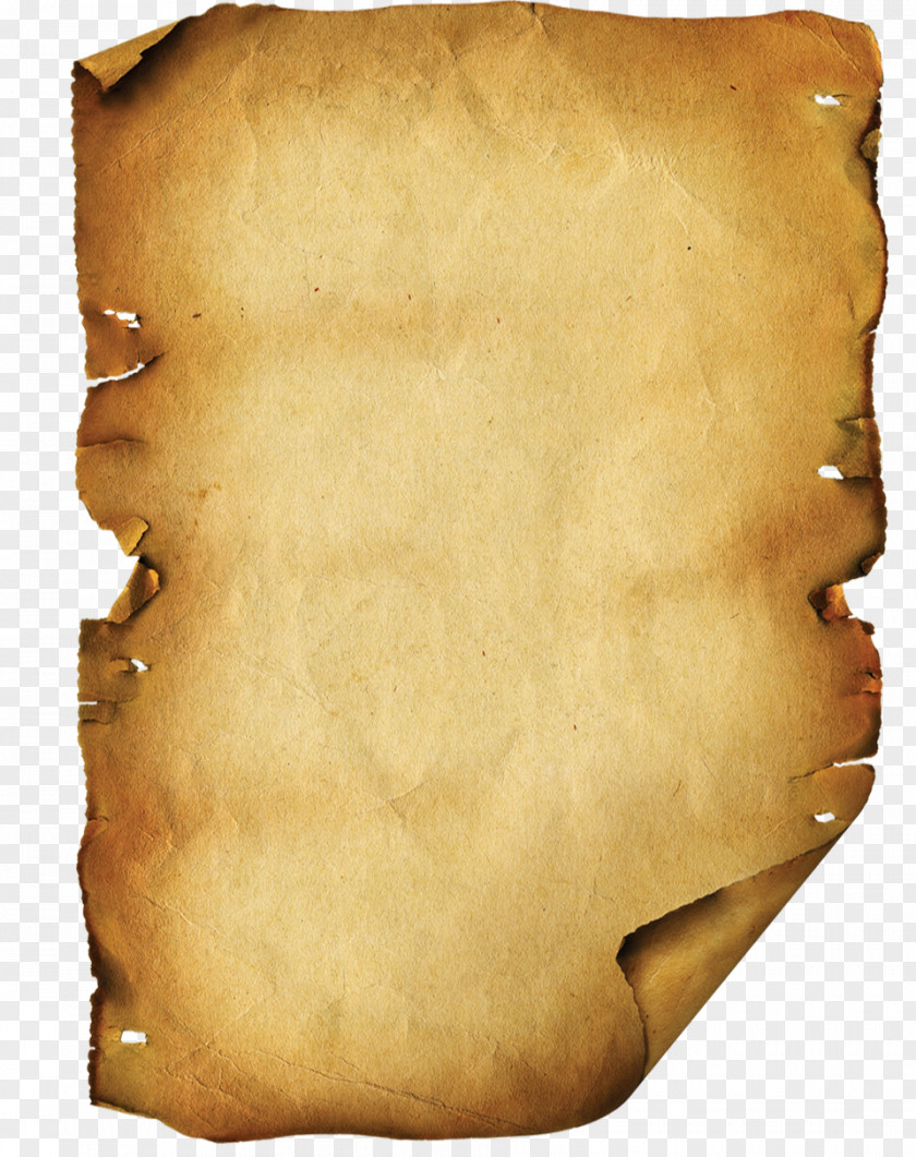 Scroll Paper Template Clip Art PNG