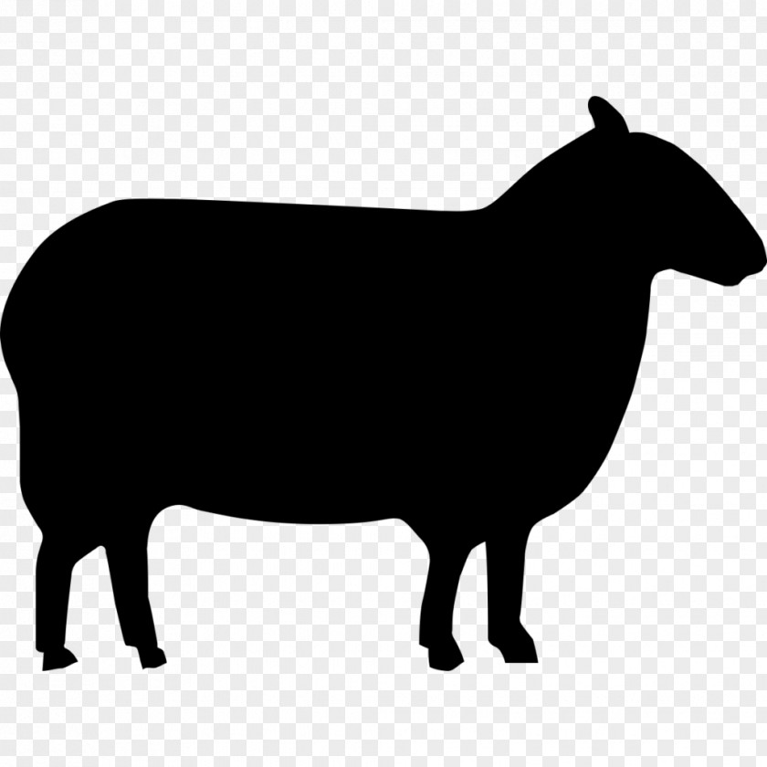 Sheep East Friesian Shetland Awassi Merino Milk PNG