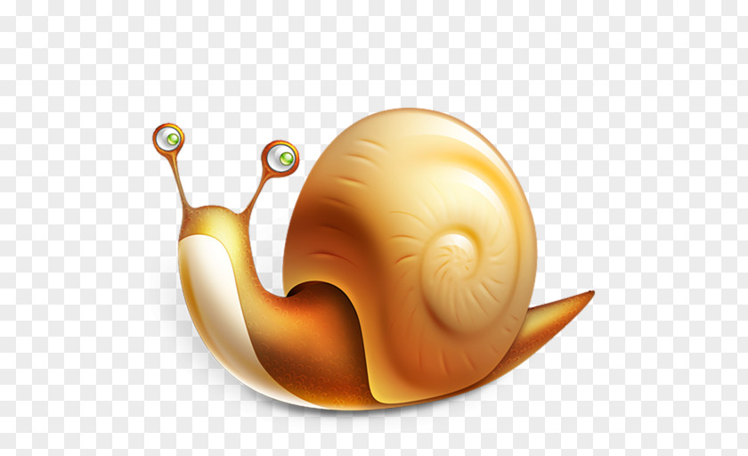 Snail Sea Caracol Mail Apple PNG