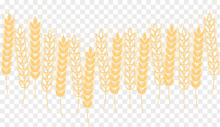 Vector Hand-painted Decorative Wheat Desktop Wallpaper Yellow Commodity Pattern PNG