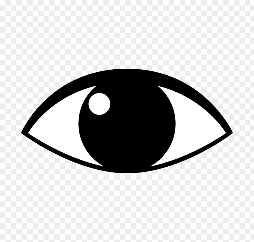 Animal Eyeball Cliparts Human Eye Clip Art PNG