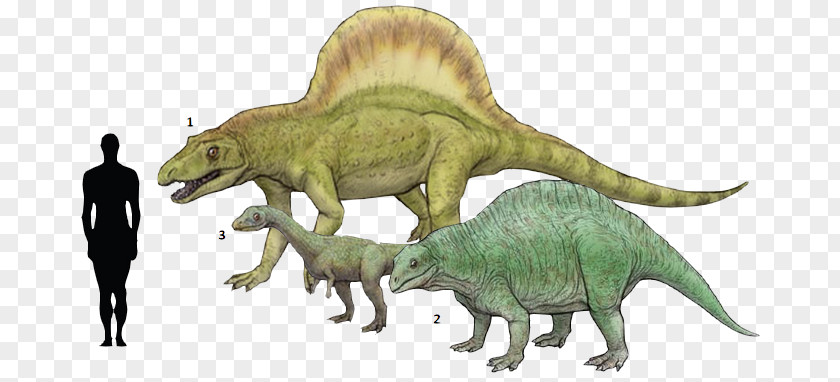 Animals Dinosaur Tyrannosaurus Effigia Lotosaurus Arizonasaurus Spinosaurus PNG