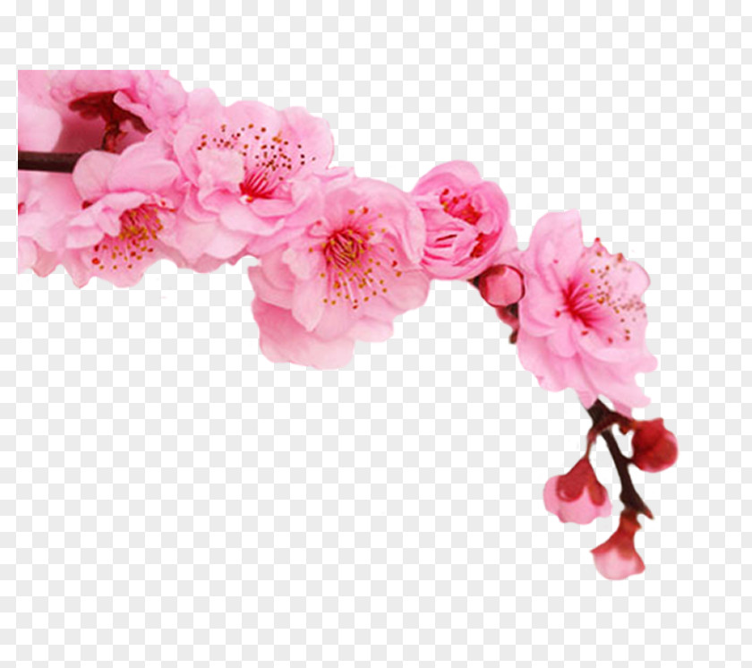 Avon Products Cosmetics Cherry Blossom Perfume Shampoo PNG