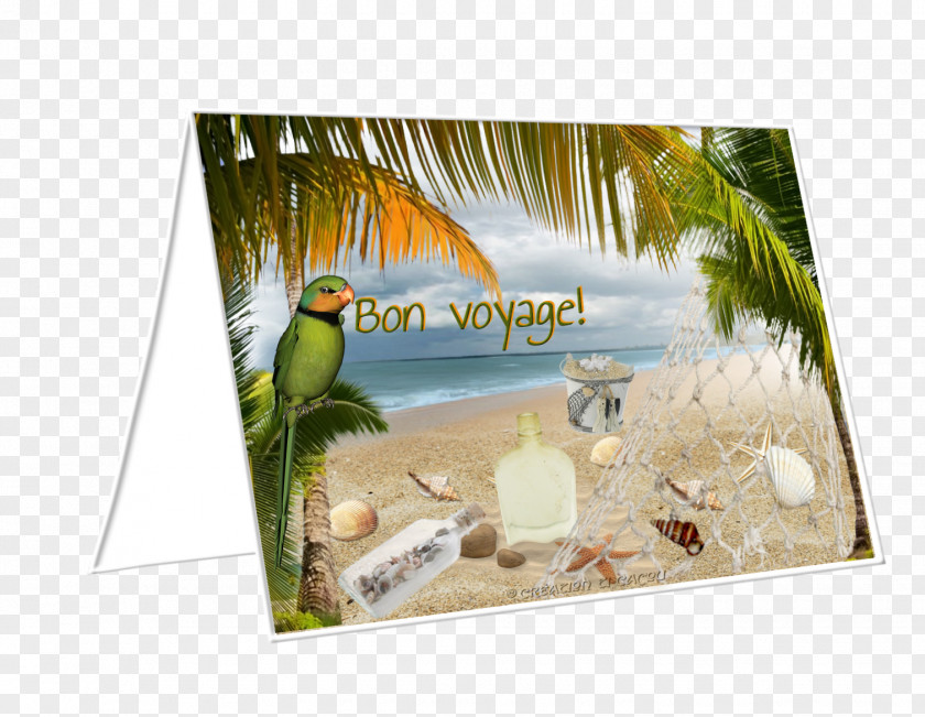 Bon Voyage Advertising Picture Frames Fauna Image E-card PNG