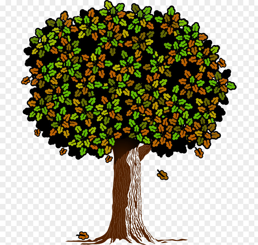 Derive Illustration Branch Clip Art Tree Oak Leaf PNG