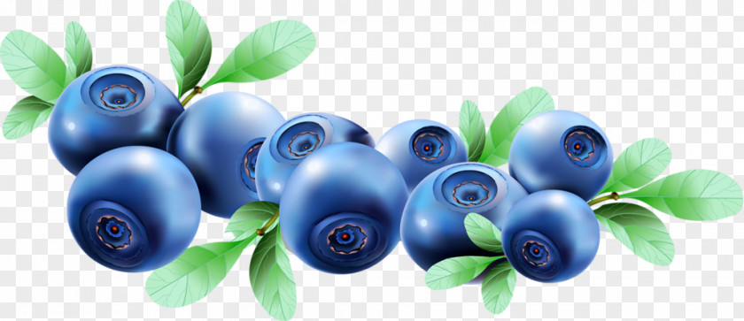 HD Painted Blueberry Juice Fruit PNG