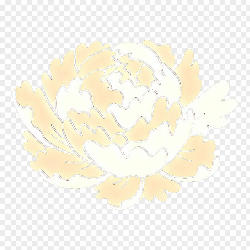 White Yellow Beige Plant Flower PNG