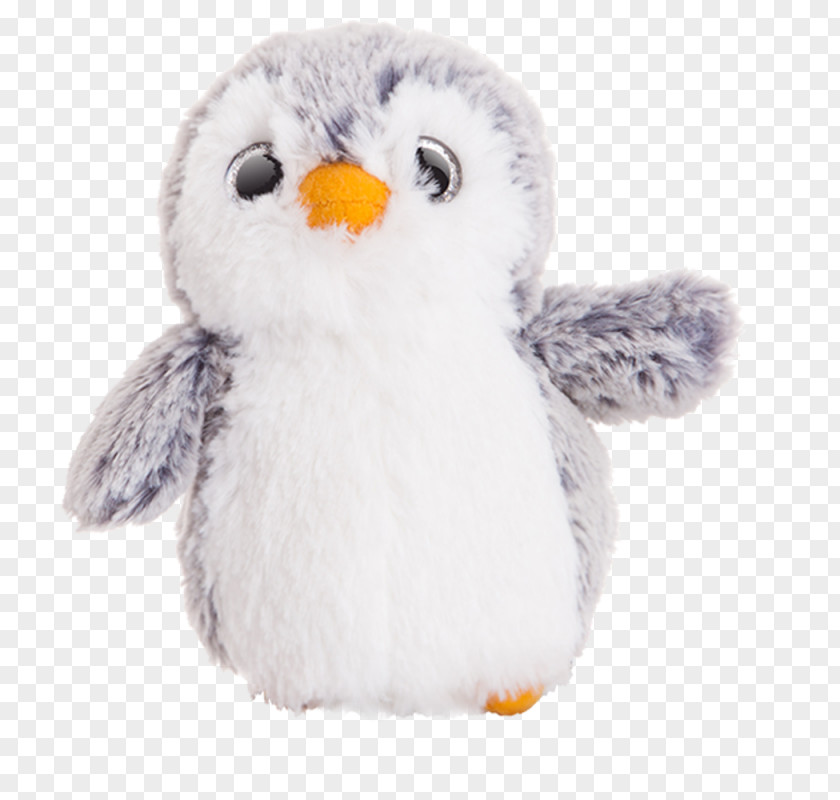 Owl Aurora Penguin Bird Animal PNG