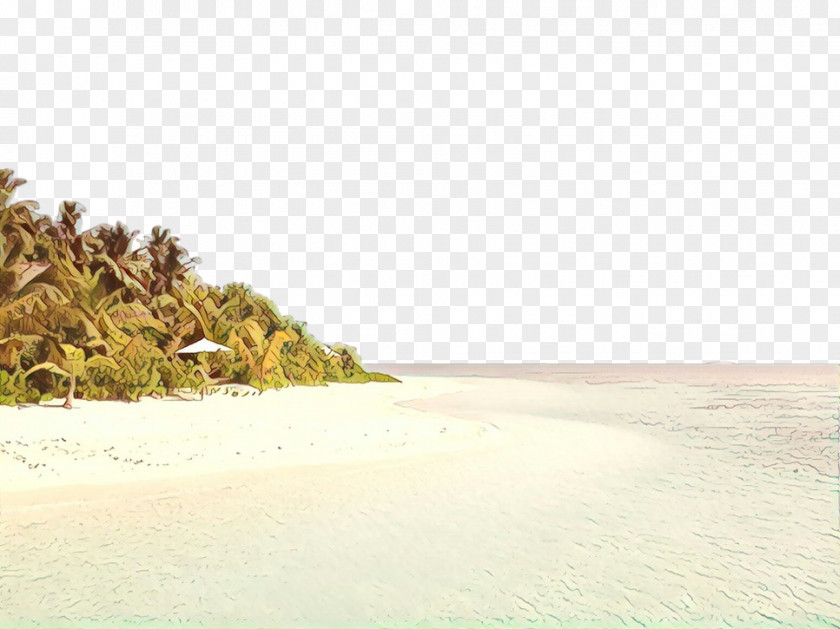 Plant Bay Travel Summer Beach PNG