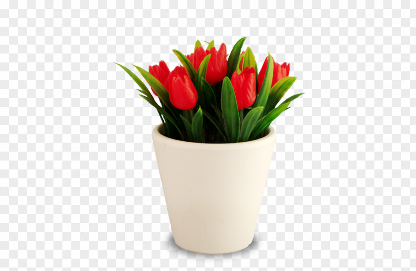 Tulip Flowerpot White Yellow Red PNG