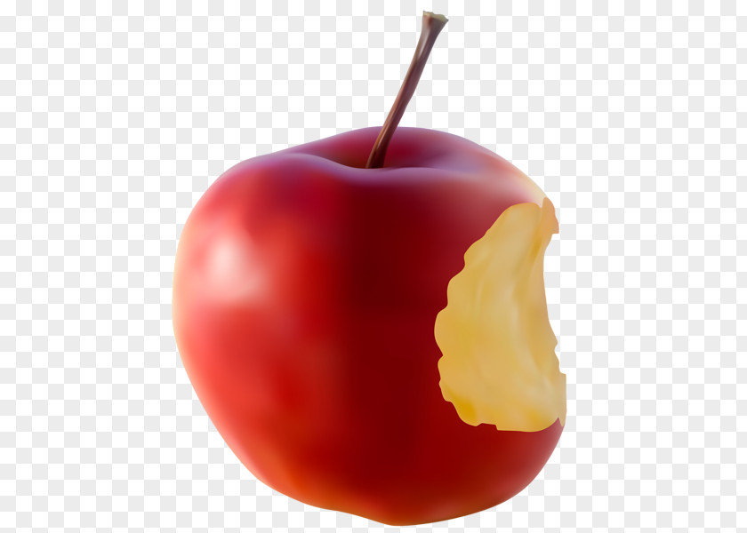 Apple 8 Food Clip Art PNG