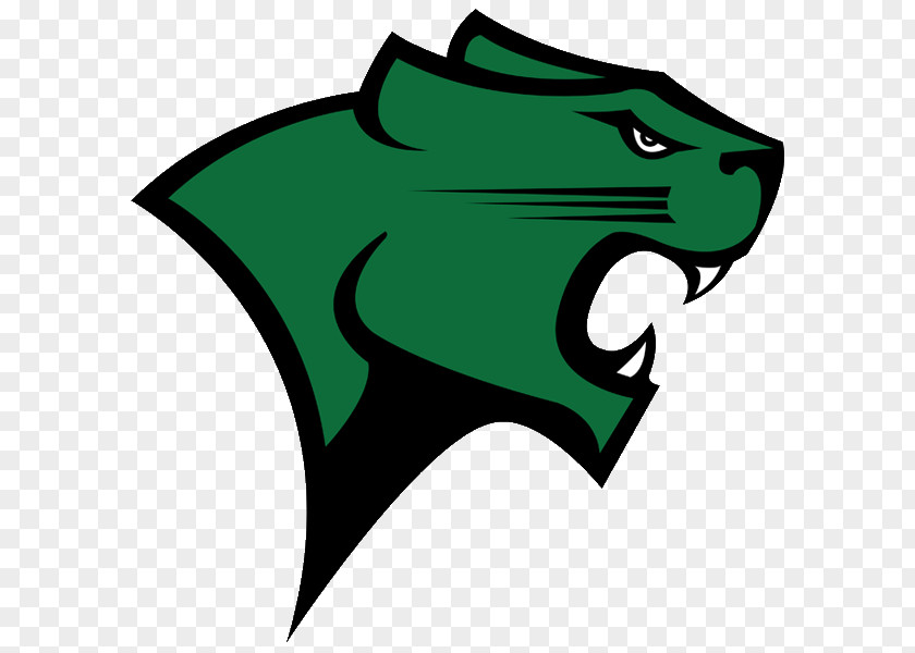 Basketball Chicago State University Cougars Men's Women's Seattle Redhawks PNG