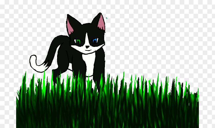 Cat Whiskers Desktop Wallpaper Cartoon PNG