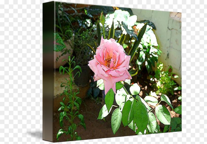 Design Floral Garden Pink M Shrub PNG
