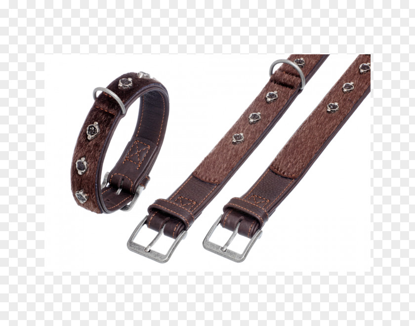 Dog Collar Leash Leather PNG