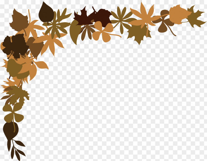 Leaf Autumn Color Photography PNG