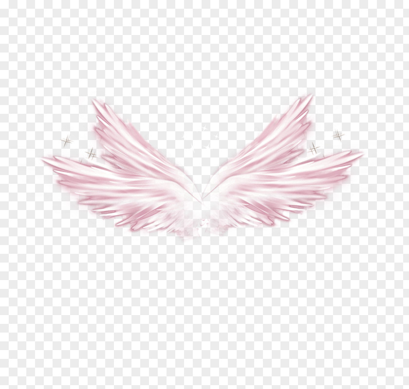 Pink Wings Wing Elements, Hong Kong Download Clip Art PNG