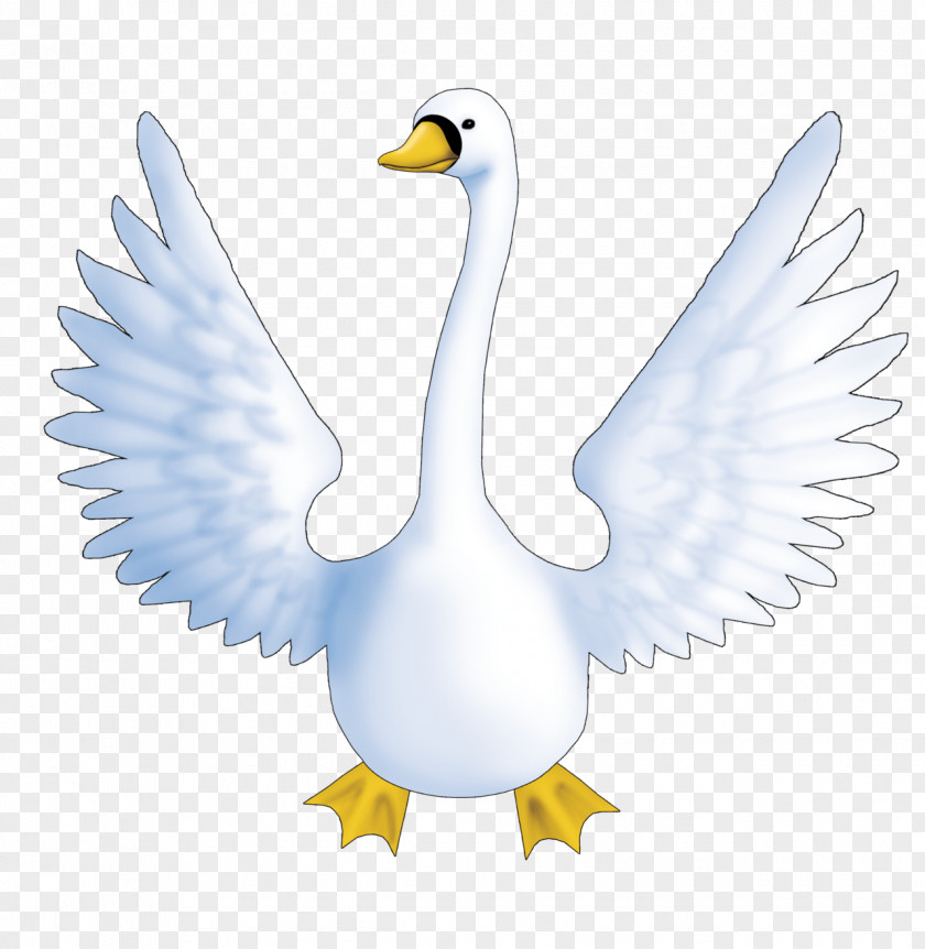 Swan Goose Duck Black Bird Tattoo PNG