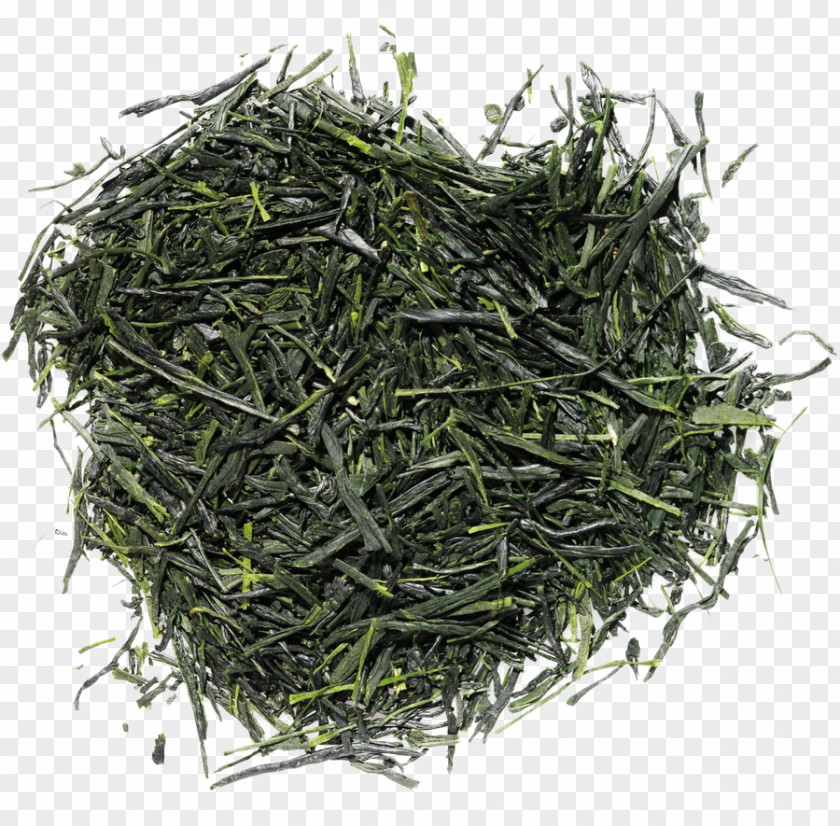 Tea Gyokuro Nilgiri Sparoza Blends Romeritos PNG