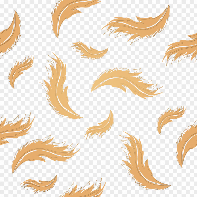 Vector Hand-painted Feathers Feather Clip Art PNG