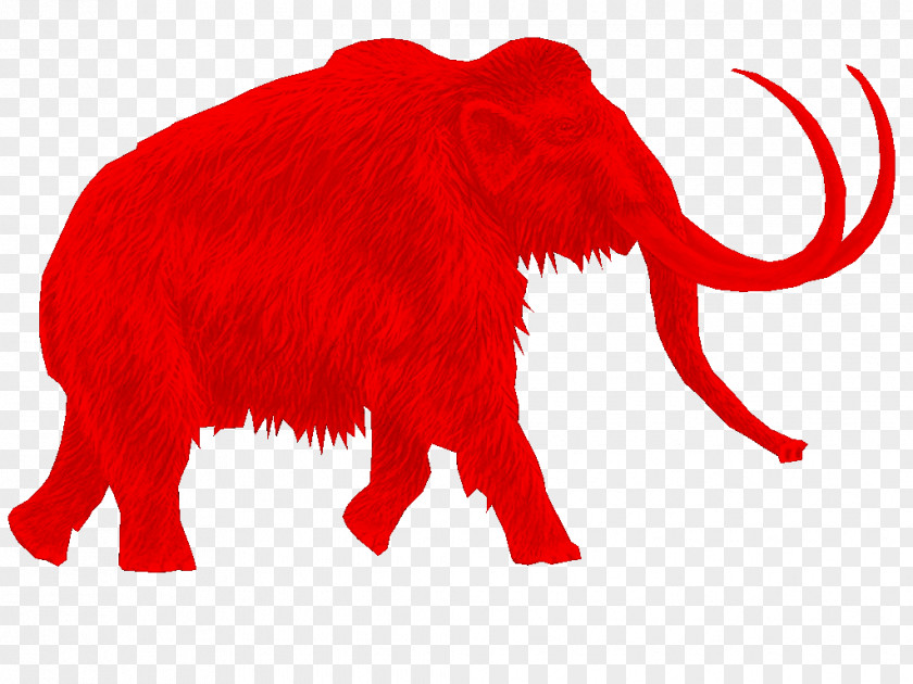 Andrew Griffiths African Elephant Indian Mini Mammoth Films Production Companies Woolly PNG