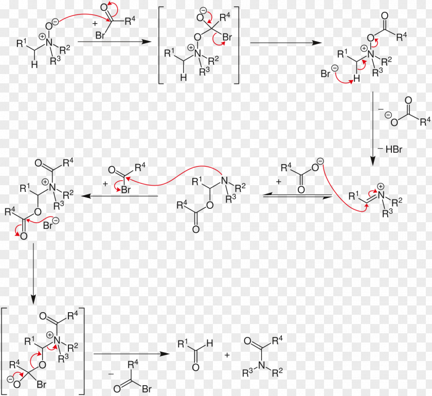 Common Berthing Mechanism Strategic Applications Of Named Reactions In Organic Synthesis Polonovski Reaction Rearrangement Acetic Anhydride PNG