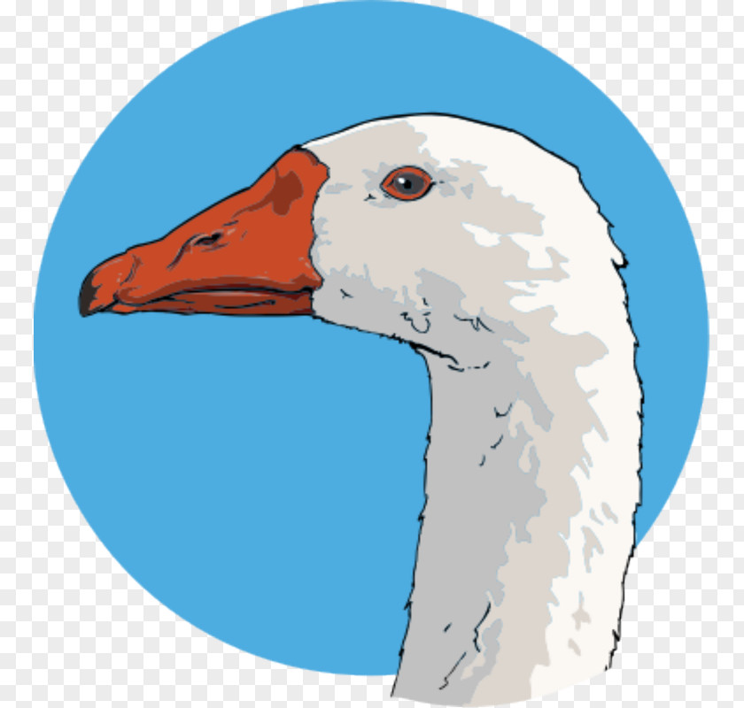 Goose Charlotte's Web Computer Icons Clip Art PNG