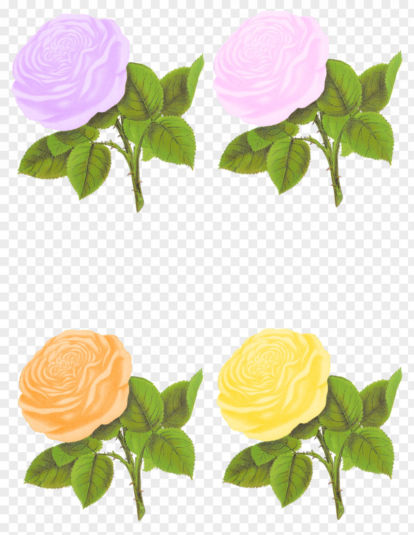 Pastel Flower Rose Clip Art PNG