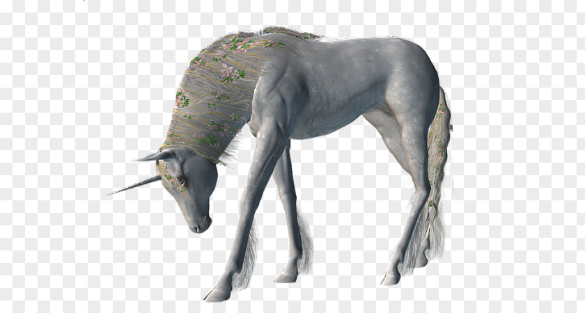 Unicorm Unicorn Clip Art PNG