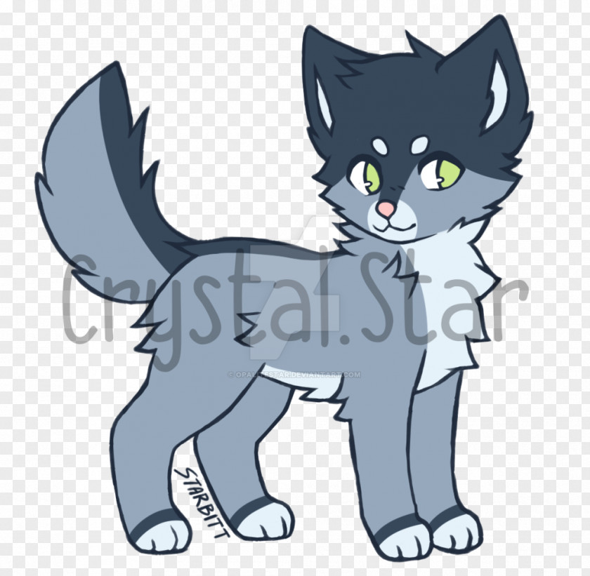 20 Points Whiskers Kitten Tabby Cat Domestic Short-haired Black PNG