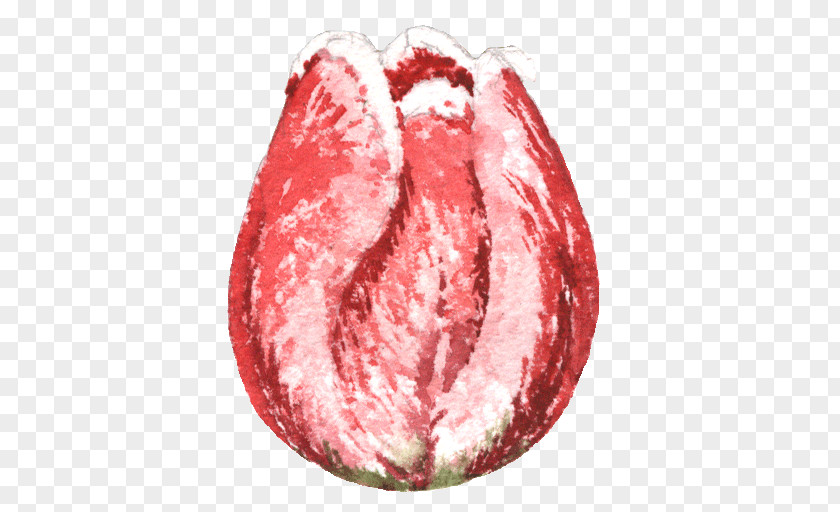 Close-up Lip Fruit PNG
