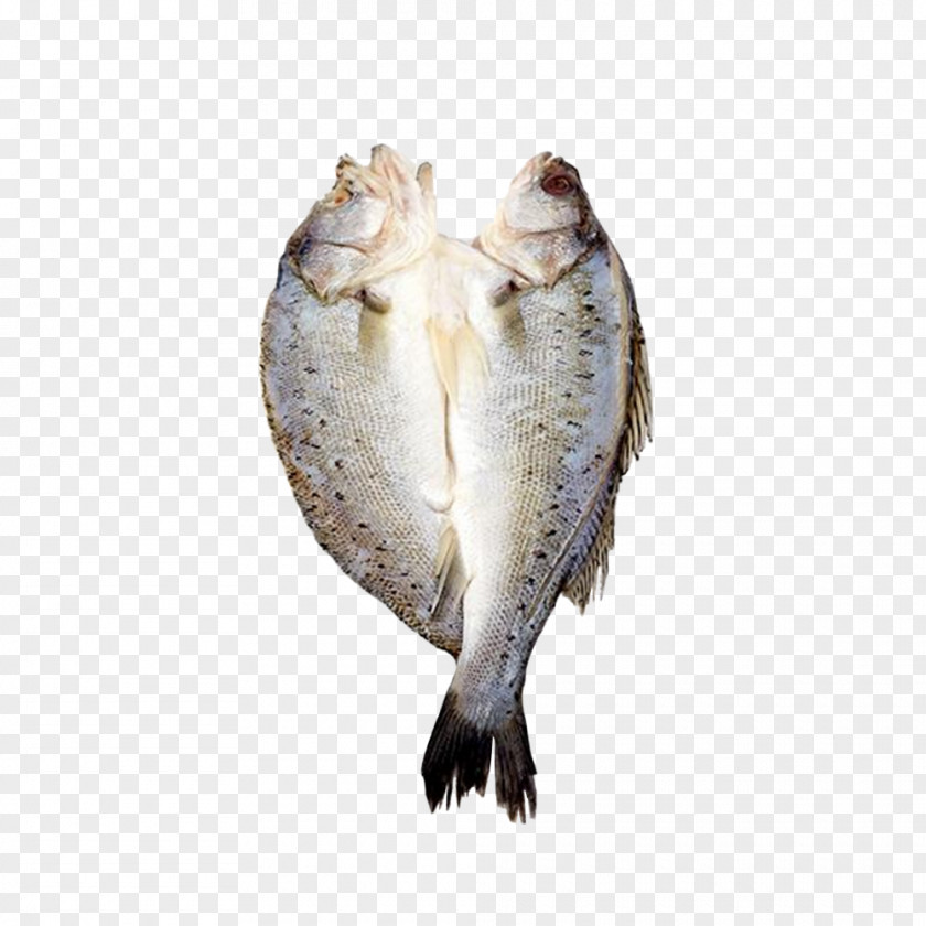 Cut In Half Sea Bass Product Really Making Plans Fish Products Salted PNG