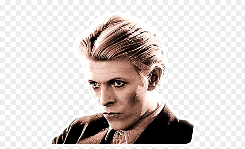 David Bowie The Man Who Fell To Earth Pin Ups Sound + Vision Hunky Dory PNG to Dory, bowie clipart PNG