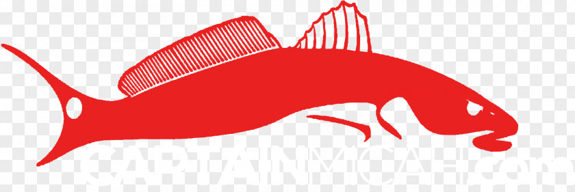 Fishing Red Drum Recreational Logo Clip Art PNG